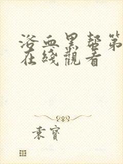 浴血黑帮第4季在线观看封面