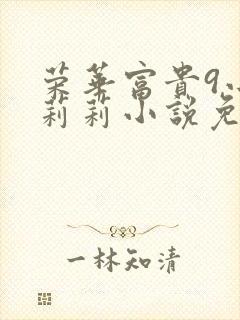 荣华富贵9小王莉莉小说免费阅读封面