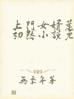 上门女婿叶辰萧初然小说免费阅读完整版