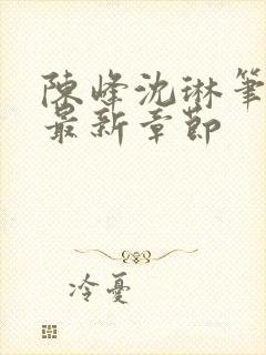 陈峰沈琳笔趣阁最新章节封面