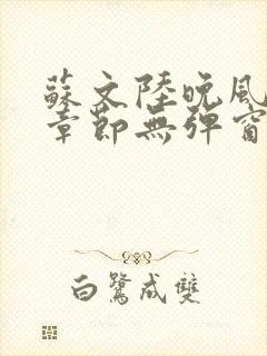 苏文陆晚风最新章节无弹窗笔趣阁