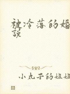 被冷落的婚姻小说