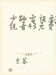 少帅电视剧全集观看43免费高清