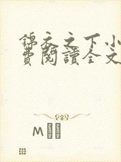 锦衣之下小说免费阅读全文无删减