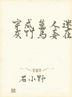 穿成万人迷的炮灰竹马妾在山阳txt封面