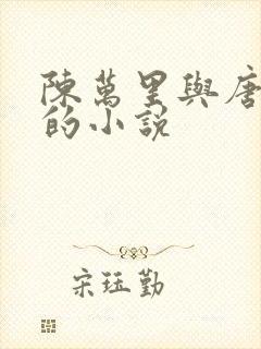 陈万里与唐嫣然的小说封面