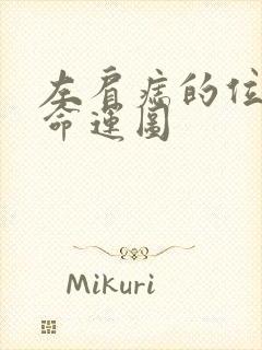 左肩痣的位置与命运图