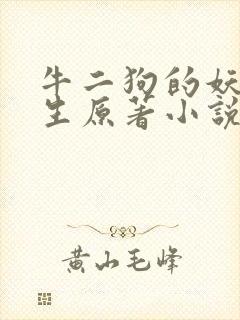 牛二狗的妖孽人生原著小说