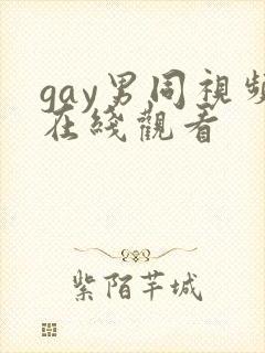 gay男同视频在线观看封面