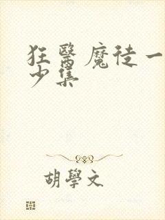 狂医魔徒一共多少集封面