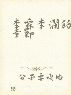 李霖李澜的最新章节