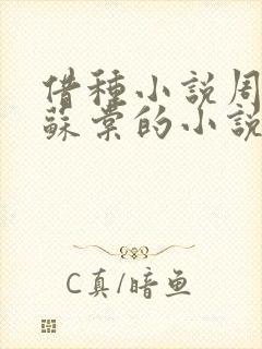 借种小说周楚臣苏棠的小说