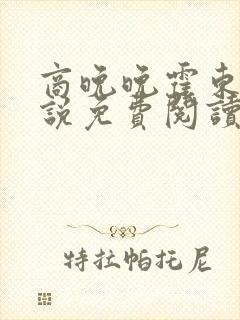 商晚晚霍东铭小说免费阅读笔趣阁