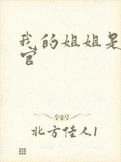 我的姐姐是大法官