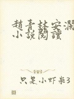 赵青林安澜正版小说阅读