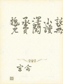 魏承泽小说全文免费阅读无弹窗笔趣