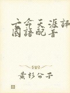 亡命天涯译制片国语配音