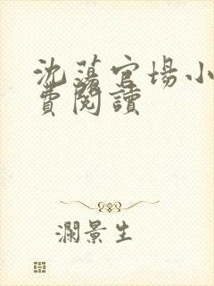 沈荡官场小说免费阅读