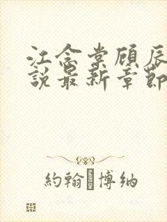 江念棠顾辰聿小说最新章节免费阅读封面