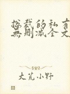 总裁的私有宝贝无删减全文免费