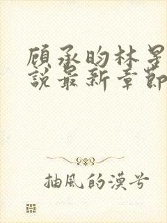 顾承昀林星禾小说最新章节免费阅读封面