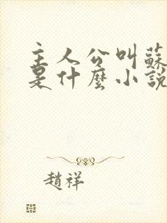 主人公叫苏洛的是什么小说