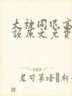 大被同眠高粱小说原文免费阅读