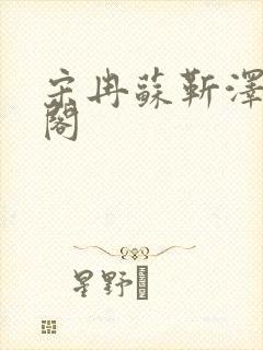 宋冉苏靳泽笔趣阁