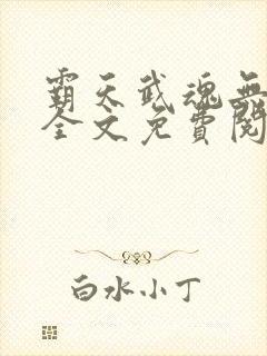 霸天武魂无弹窗全文免费阅读封面