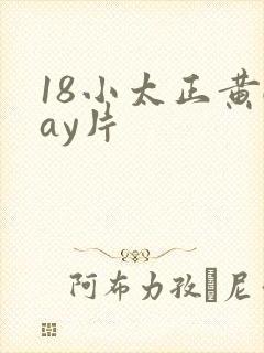 18小太正黄gay片