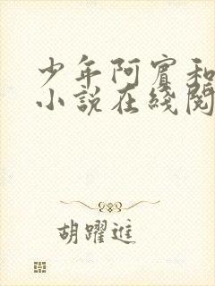 少年阿宾和慧珏小说在线阅读