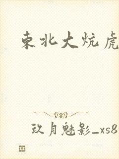 东北大炕虎子封面