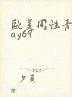 欧美同性青年gay69