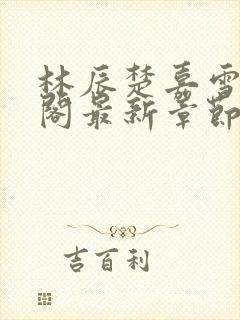 林辰楚嘉雪笔趣阁最新章节