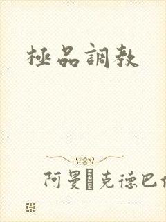 极品调教封面