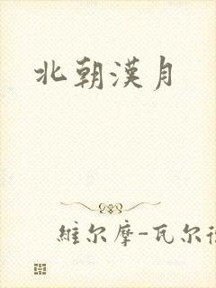 北朝汉月