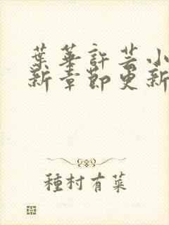 叶华许芸小说最新章节更新时间