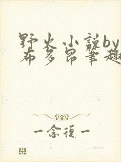 野火小说by夏布多昂笔趣阁封面