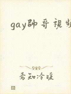 gay帅哥视频