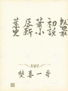 叶辰萧初然最快更新小说最新章节