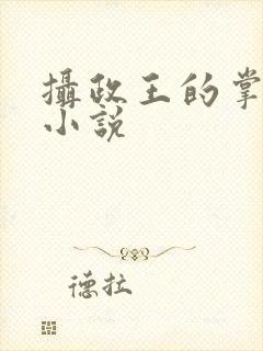 摄政王的掌中娇小说