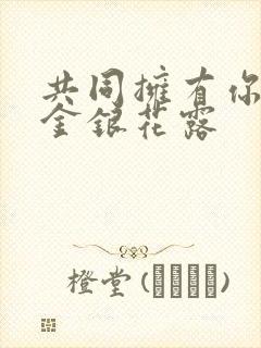 共同拥有你by金银花露封面