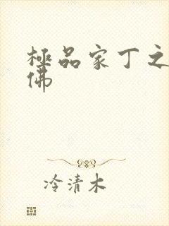 极品家丁之欢喜佛封面