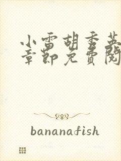 小雷胡秀英全部章节免费阅读