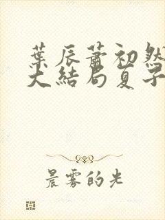 叶辰萧初然小说大结局夏子安