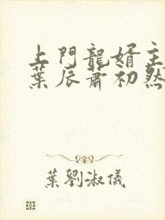 上门龙婿主人公叶辰萧初然