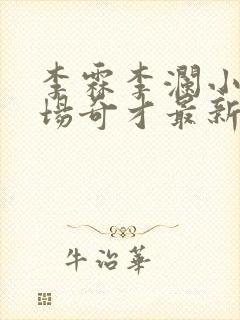 李霖李澜小说官场奇才最新更新