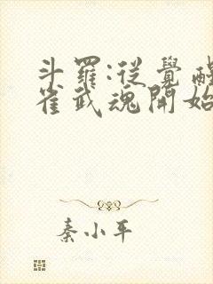 斗罗:从觉醒朱雀武魂开始