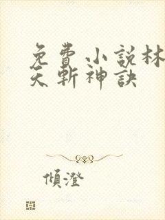 免费小说林辰九天斩神诀