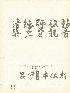 清纯师姐动漫全集免费观看完整版高清